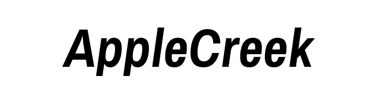 Archivo Narrow Bold Italic  Free Fonts Download