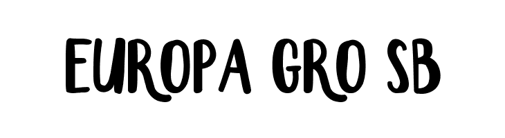 Erlan  Free Fonts Download