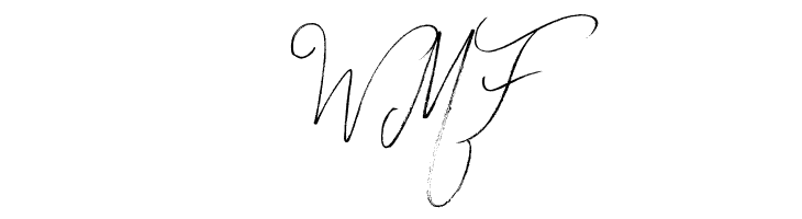 Fun Things  Free Fonts Download