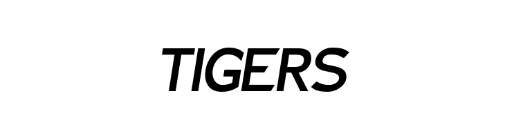 Charger Sport Bold Oblique  Free Fonts Download