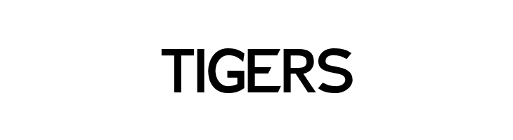 Charger Sport Bold  Free Fonts Download