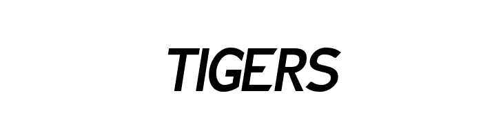 Charger Sport Bold Narrow Oblique  Free Fonts Download