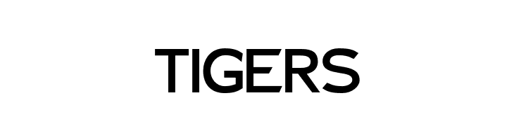 Charger Sport Bold Extended  Free Fonts Download