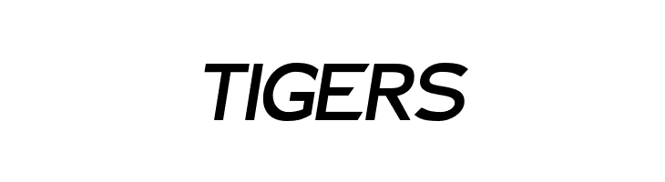 Charger Sport Bold Extended Oblique  Free Fonts Download