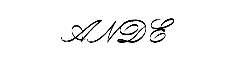 Rough Brush Script  Free Fonts Download