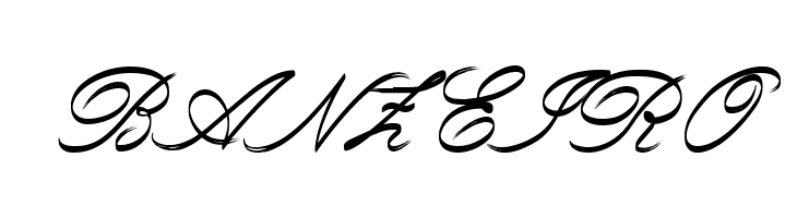 Rough Brush Script  Free Fonts Download