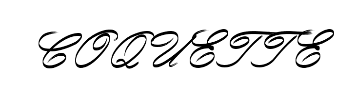 Rough Brush Script  Free Fonts Download