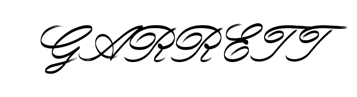 Rough Brush Script  Free Fonts Download