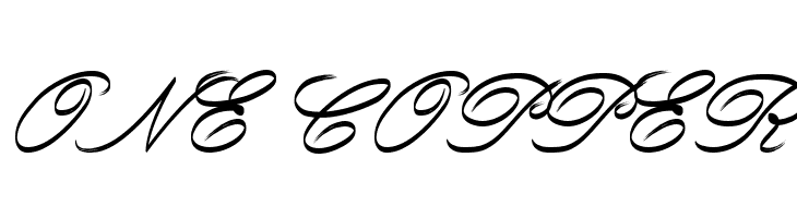 Rough Brush Script  Free Fonts Download