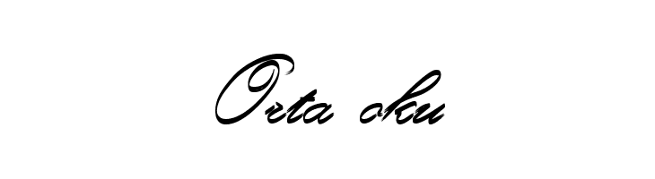 Rough Brush Script  Free Fonts Download