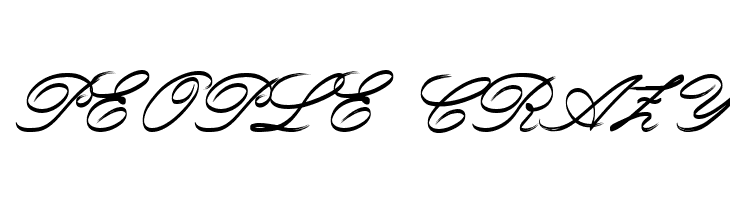 Rough Brush Script  Free Fonts Download