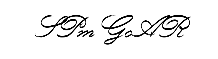 Rough Brush Script  Free Fonts Download
