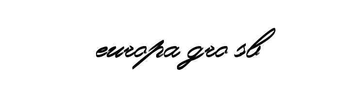 Rough Brush Script  Free Fonts Download