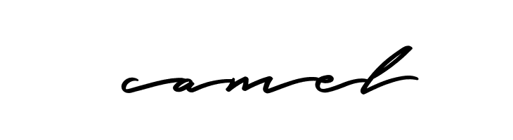 Graced Script PERSONAL USE  Free Fonts Download