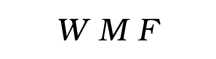 ER Bukinist 1251 Italic  Free Fonts Download