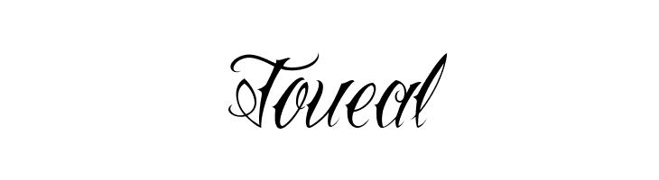 Toueal Vtc-NueTattooScript Font