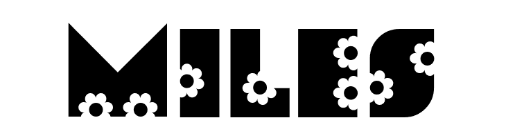 Romashka Deco  Free Fonts Download