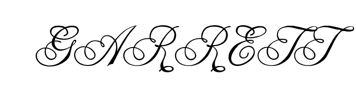 Champagne Cyrillic  Free Fonts Download