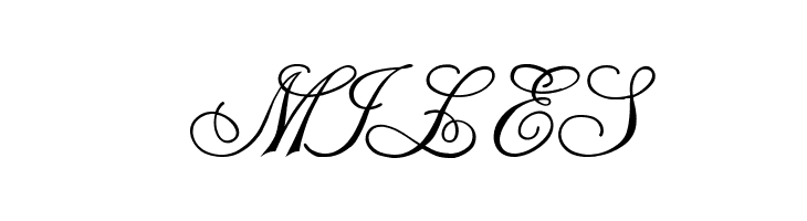 Champagne Cyrillic  Free Fonts Download