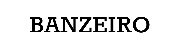 Rokkitt Bold  Free Fonts Download