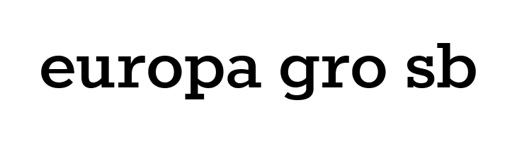 Rokkitt Bold  Free Fonts Download