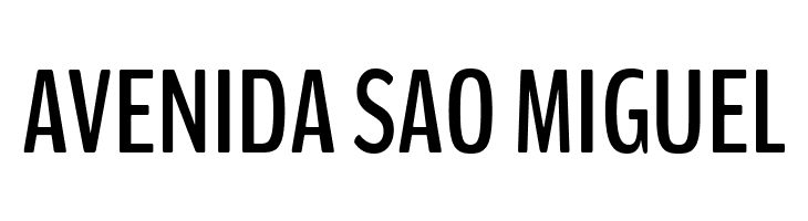 BenchNine Bold  Free Fonts Download