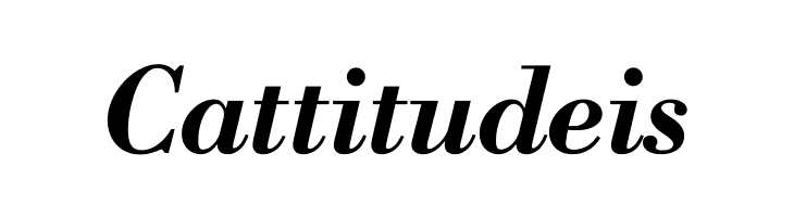 Libre Bodoni Bold Italic  Free Fonts Download