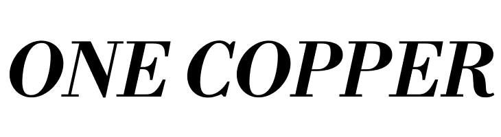 Libre Bodoni Bold Italic  Free Fonts Download