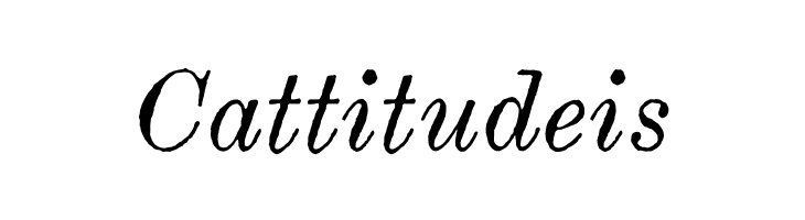 Century modern TT Italic  Free Fonts Download