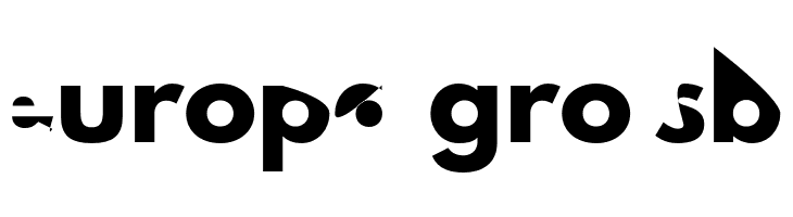 Hussar Dziwak  Free Fonts Download