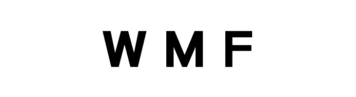 POE Sans New Bold  Free Fonts Download