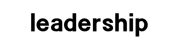 POE Sans New Bold  Free Fonts Download