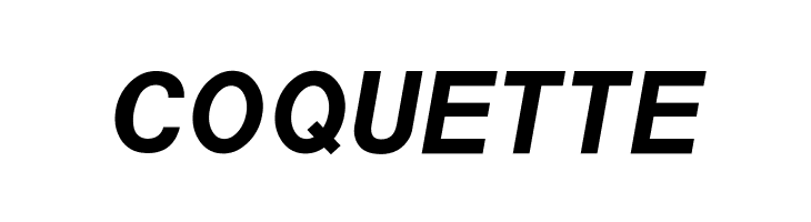 POE Sans New Bold Italic  Free Fonts Download