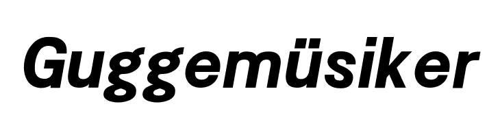 POE Sans New Bold Italic  Free Fonts Download