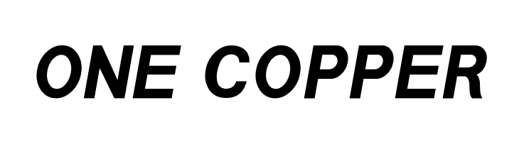 POE Sans New Bold Italic  Free Fonts Download