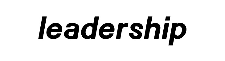 POE Sans New Bold Italic  Free Fonts Download