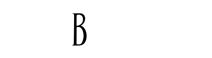 BAND OF REALITY  Free Fonts Download