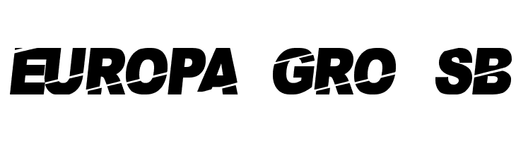 PaybAck  Free Fonts Download