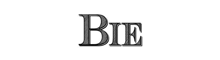 Cash Currency  Free Fonts Download