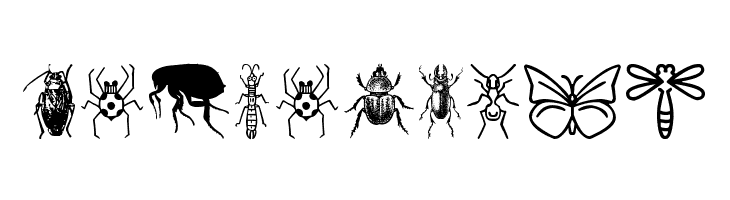 Insect Icons  Free Fonts Download