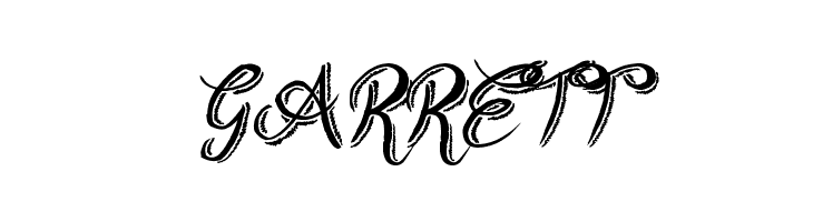 Rough Script  Free Fonts Download