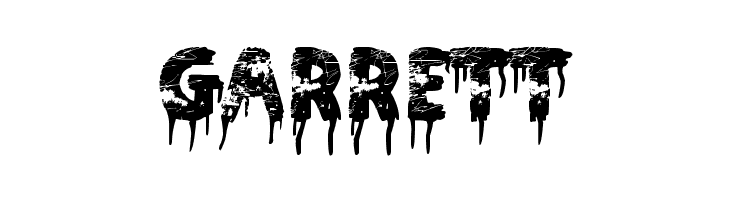 Nothing To Lose  Free Fonts Download