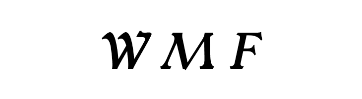 Typey McTypeface Italic  Free Fonts Download