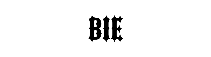 FTY IRONRIDER NCV  Free Fonts Download