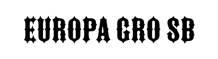 FTY IRONRIDER NCV  Free Fonts Download