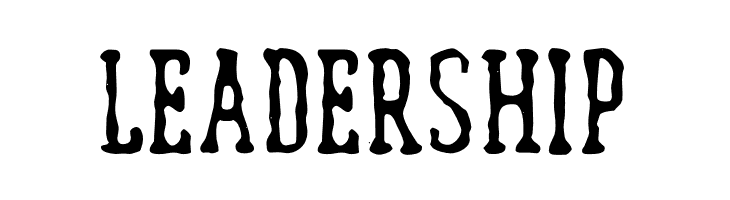 WATERFALL  Free Fonts Download