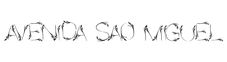 Bird Feather  Free Fonts Download