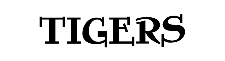 NewSymbolFont 9  Free Fonts Download