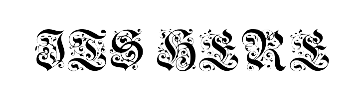 GriffinDingbats Medium  Free Fonts Download