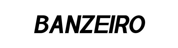 POE Sans Pro Bold Italic  Free Fonts Download